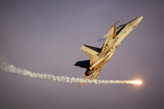 Finnish Hornet Solo Display IMG 4925 HN-452