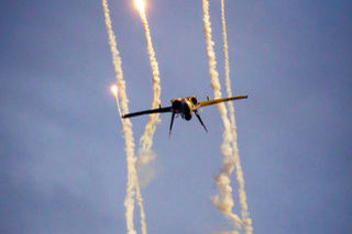 Finnish Hornet Solo Display IMG 5048 HN-452