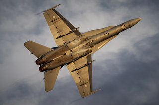 Finnish Hornet Solo Display IMG 5343 HN-452