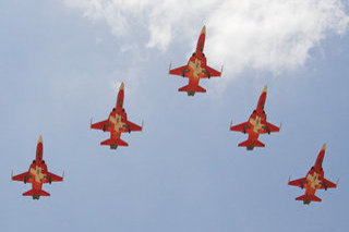 Northrop F-5E Tiger II, J-3086, Swiss Air Force