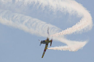 Pilatus PC-7, L-11, Royal Netherlands Air Force