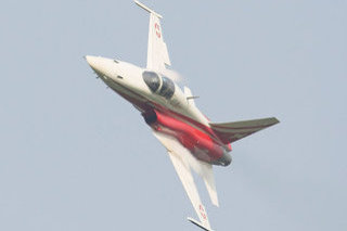 Northrop F-5E Tiger II, J-3091, Swiss Air Force