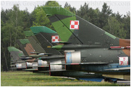 Powidz Air Base Visit, May 2009