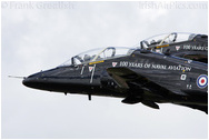 Royal International Air Tattoo 2009, RAF Fairford, UK - England