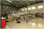 Pilatus PC-9M, 263, Irish Air Corps